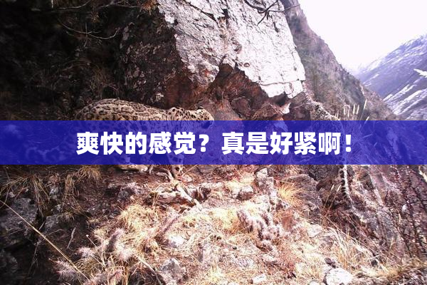 爽快的感觉？真是好紧啊！