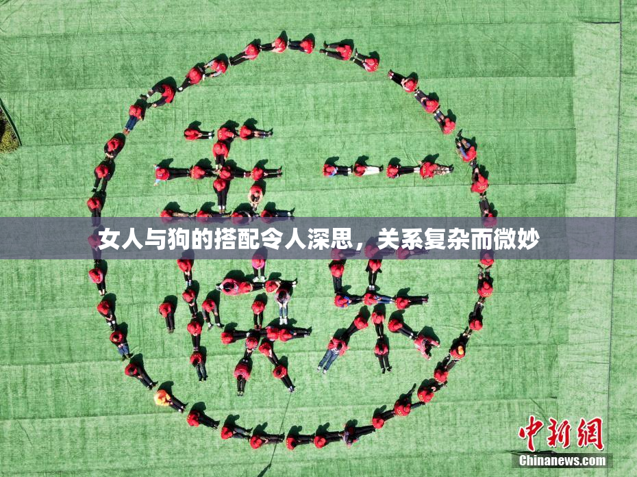女人与狗的搭配令人深思，关系复杂而微妙