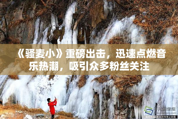 《骚麦小》重磅出击，迅速点燃音乐热潮，吸引众多粉丝关注