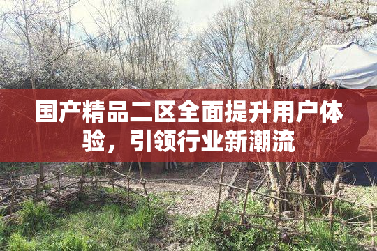 国产精品二区全面提升用户体验，引领行业新潮流