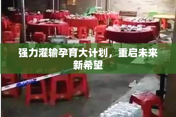 强力灌输孕育大计划，重启未来新希望