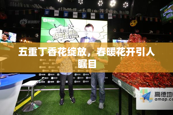 五重丁香花绽放，春暖花开引人瞩目