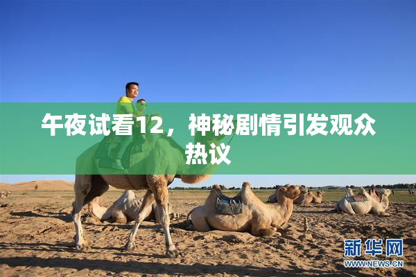 午夜试看12，神秘剧情引发观众热议