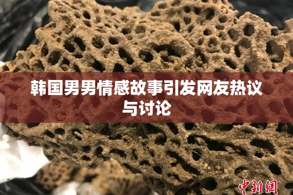 韩国男男情感故事引发网友热议与讨论