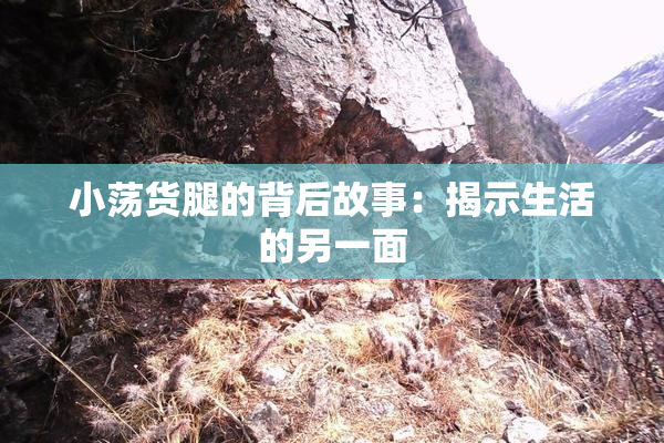 小荡货腿的背后故事：揭示生活的另一面