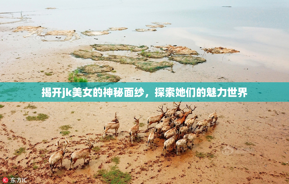 揭开jk美女的神秘面纱，探索她们的魅力世界