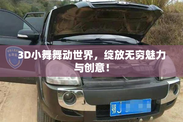3D小舞舞动世界，绽放无穷魅力与创意！
