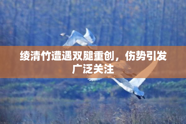 绫清竹遭遇双腿重创，伤势引发广泛关注