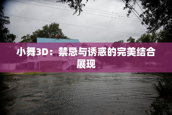 小舞3D：禁忌与诱惑的完美结合展现