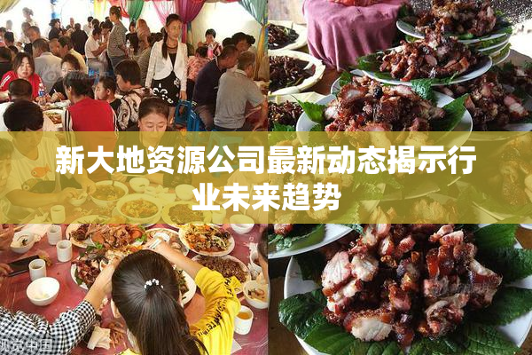 新大地资源公司最新动态揭示行业未来趋势