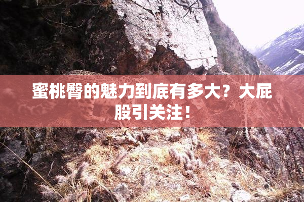 蜜桃臀的魅力到底有多大？大屁股引关注！