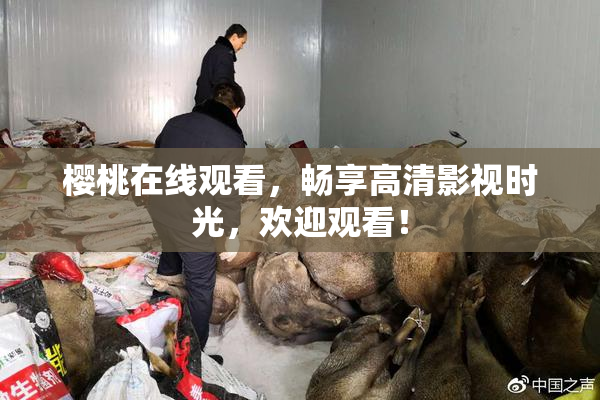 樱桃在线观看，畅享高清影视时光，欢迎观看！