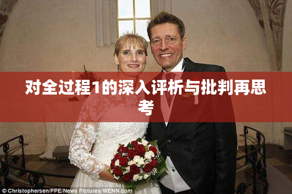 对全过程1的深入评析与批判再思考