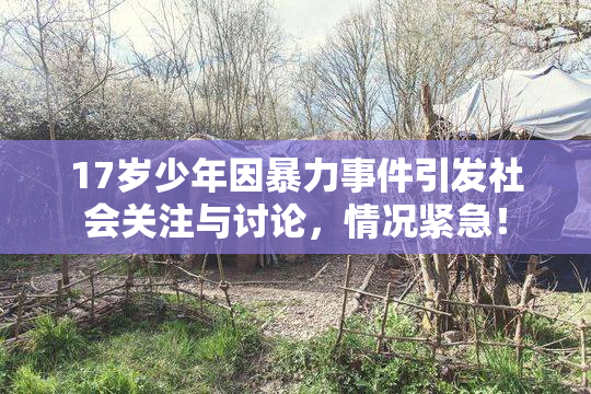 17岁少年因暴力事件引发社会关注与讨论，情况紧急！