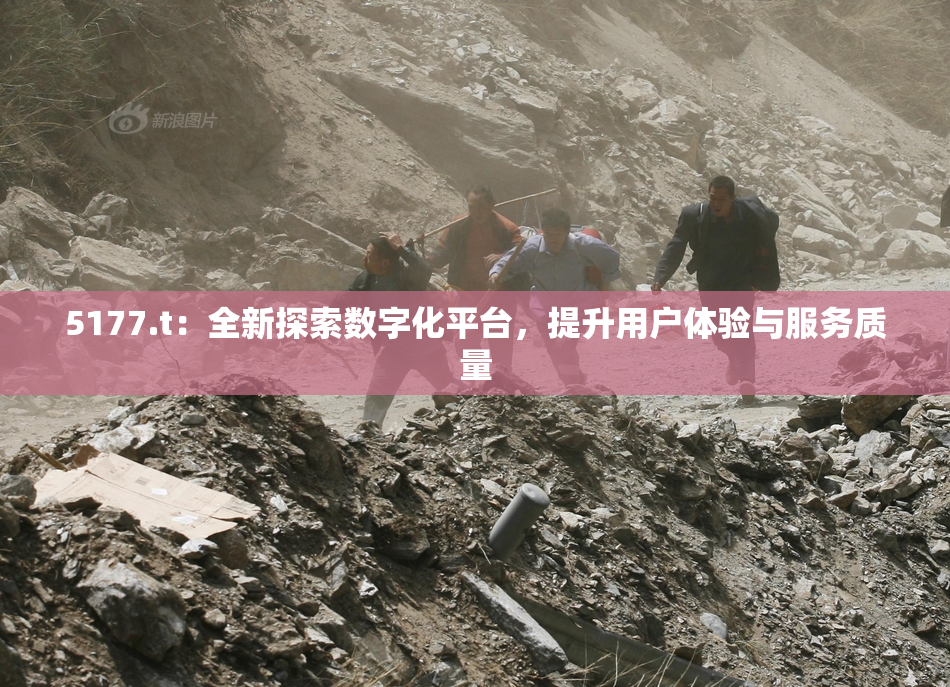 5177.t：全新探索数字化平台，提升用户体验与服务质量