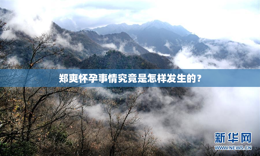 郑爽怀孕事情究竟是怎样发生的？