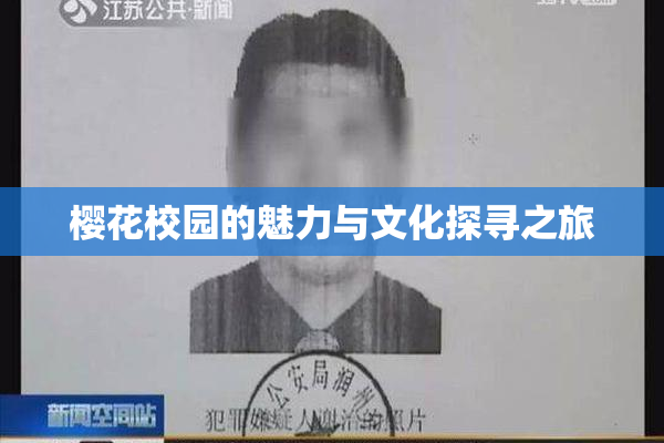 樱花校园的魅力与文化探寻之旅