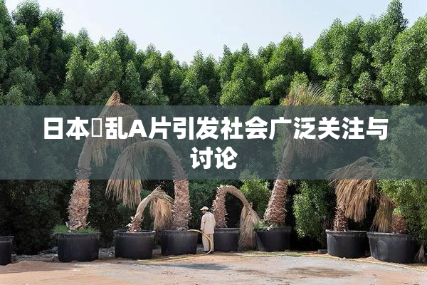 日本婬乱A片引发社会广泛关注与讨论