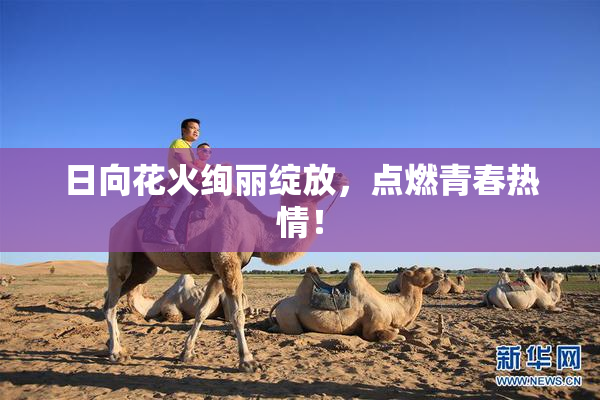 日向花火绚丽绽放，点燃青春热情！
