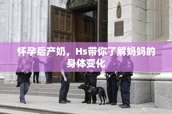 怀孕后产奶，Hs带你了解妈妈的身体变化