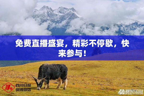 免费直播盛宴，精彩不停歇，快来参与！