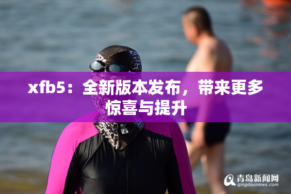 xfb5：全新版本发布，带来更多惊喜与提升