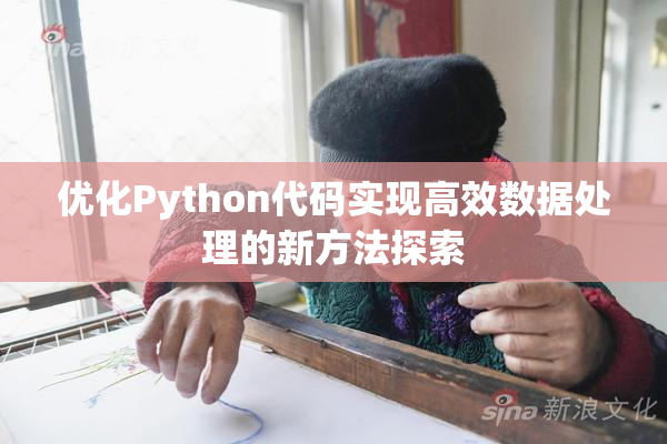 优化Python代码实现高效数据处理的新方法探索