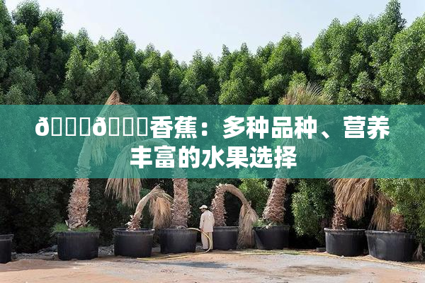 🔞🔞香蕉：多种品种、营养丰富的水果选择