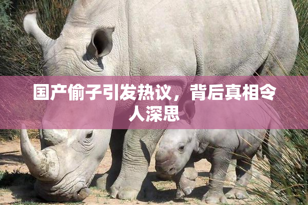 国产偷子引发热议，背后真相令人深思