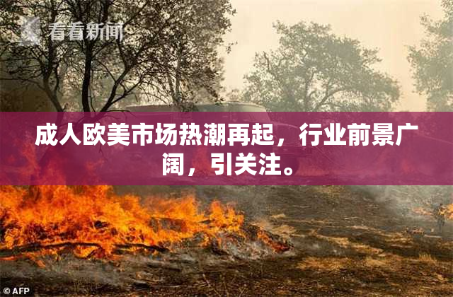 成人欧美市场热潮再起，行业前景广阔，引关注。