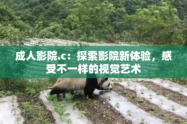成人影院.c：探索影院新体验，感受不一样的视觉艺术