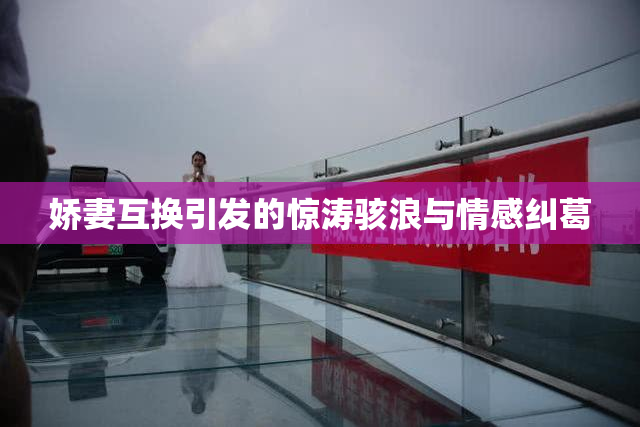 娇妻互换引发的惊涛骇浪与情感纠葛