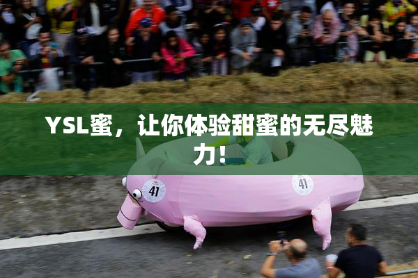 YSL蜜，让你体验甜蜜的无尽魅力！