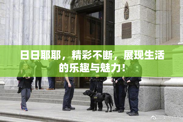日日耶耶，精彩不断，展现生活的乐趣与魅力！