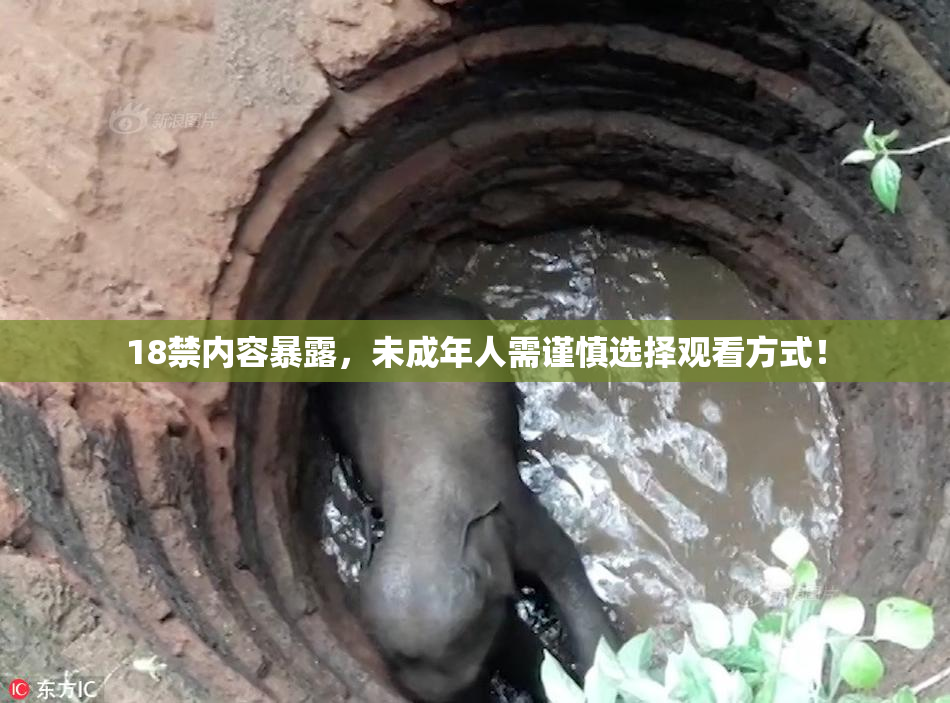 18禁内容暴露，未成年人需谨慎选择观看方式！