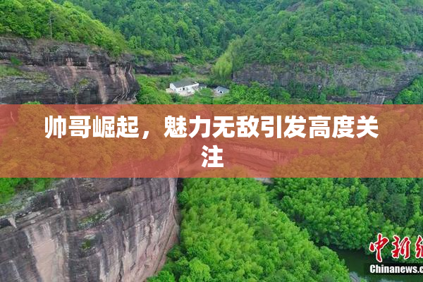 帅哥崛起，魅力无敌引发高度关注