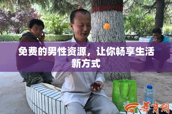 免费的男性资源，让你畅享生活新方式