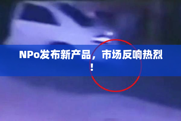 ΝPo发布新产品，市场反响热烈！
