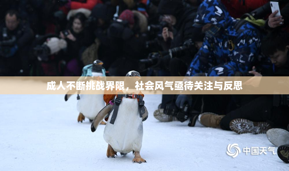 成人不断挑战界限，社会风气亟待关注与反思