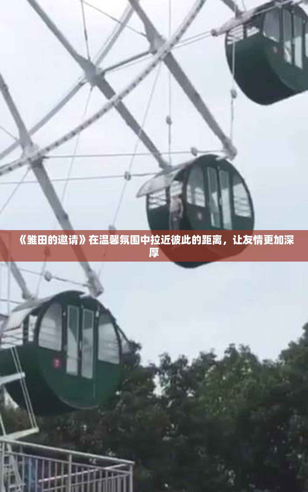《雏田的邀请》在温馨氛围中拉近彼此的距离，让友情更加深厚