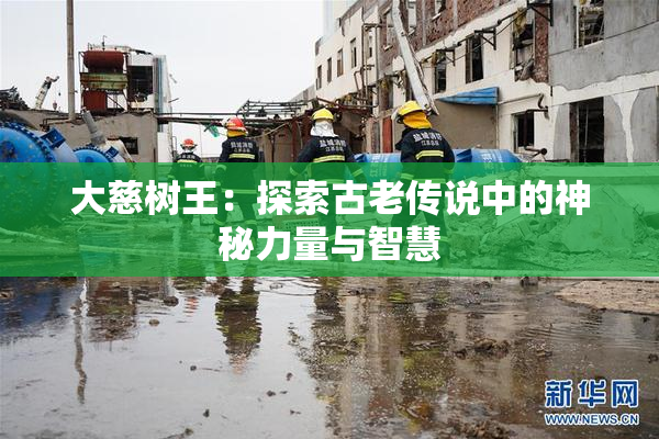 大慈树王：探索古老传说中的神秘力量与智慧