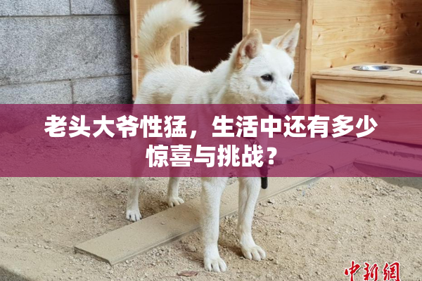 老头大爷性猛，生活中还有多少惊喜与挑战？