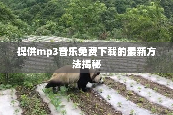 提供mp3音乐免费下载的最新方法揭秘