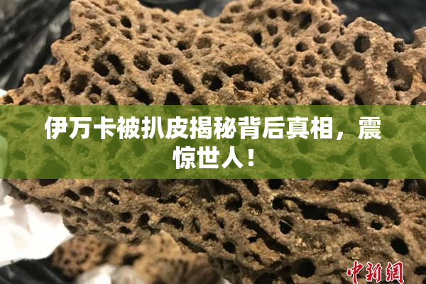 伊万卡被扒皮揭秘背后真相，震惊世人！