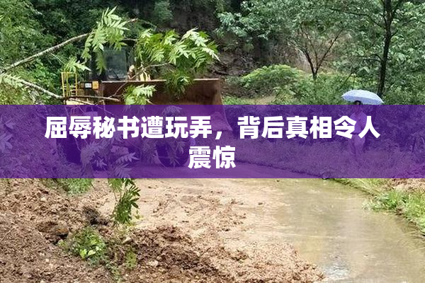 屈辱秘书遭玩弄，背后真相令人震惊