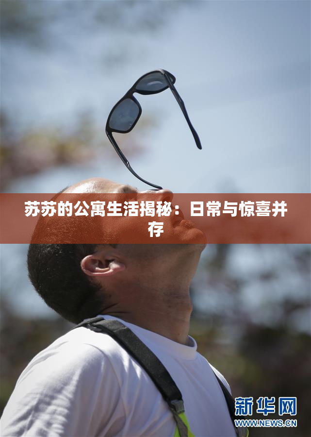 苏苏的公寓生活揭秘：日常与惊喜并存