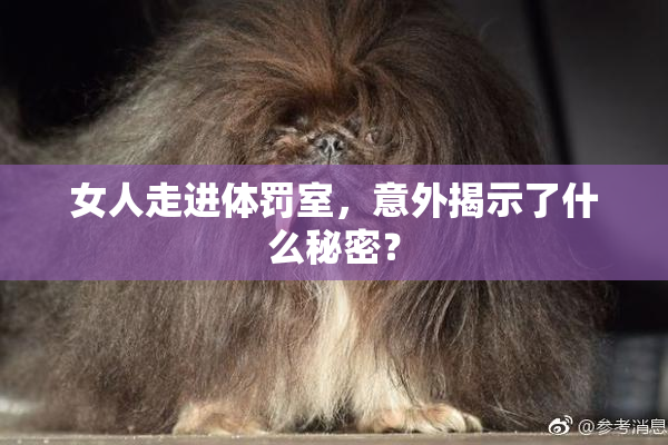 女人走进体罚室，意外揭示了什么秘密？