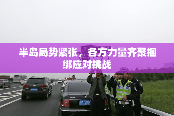 半岛局势紧张，各方力量齐聚捆绑应对挑战