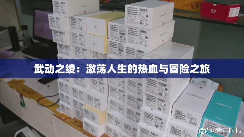 武动之绫：激荡人生的热血与冒险之旅