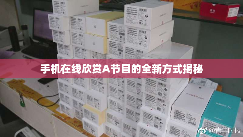 手机在线欣赏A节目的全新方式揭秘